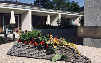 Ein Garten für das Leben im St. Vinzenz-Hospiz