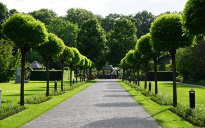 Trauer-Spaziergang im Botanischen Garten