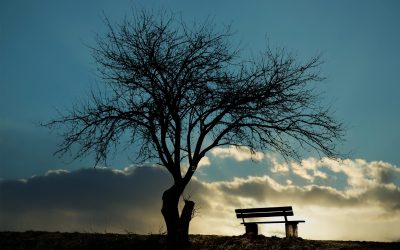 Trauer-Café: Absage bis auf Weiteres