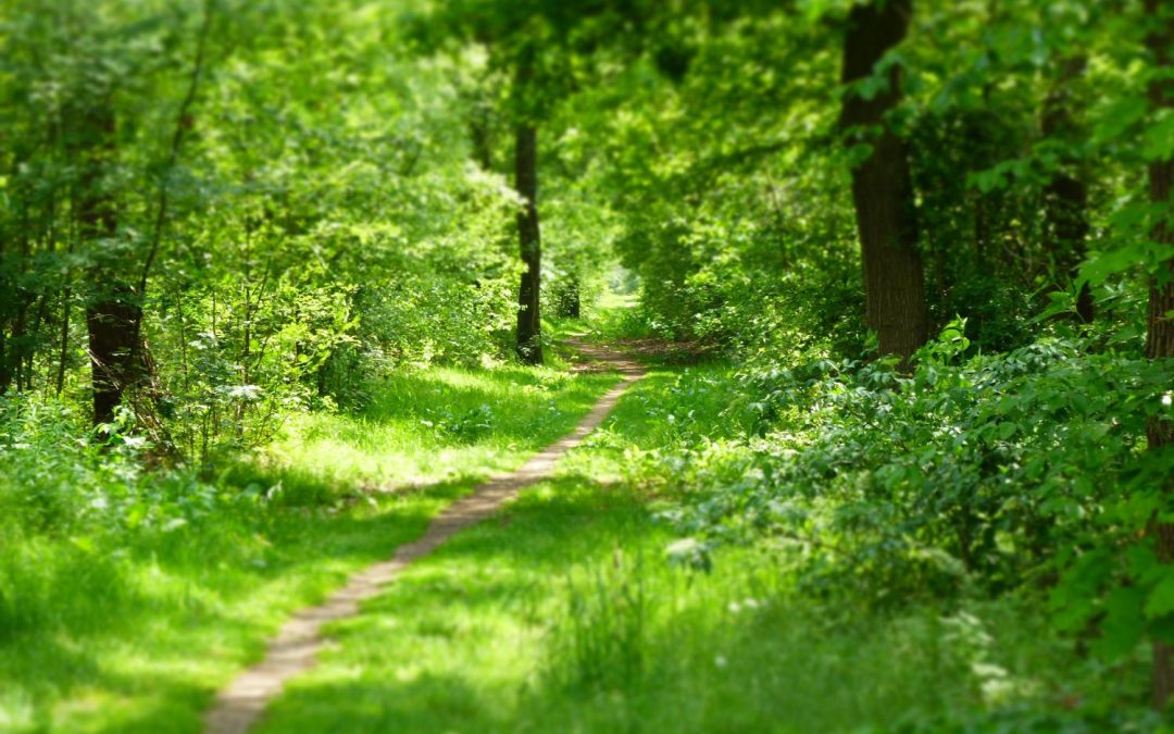 Trauer-Spaziergang am 03.05.2024