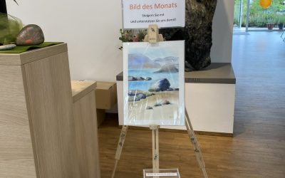 „Bild des Monats Juni“: Steigern Sie mit!