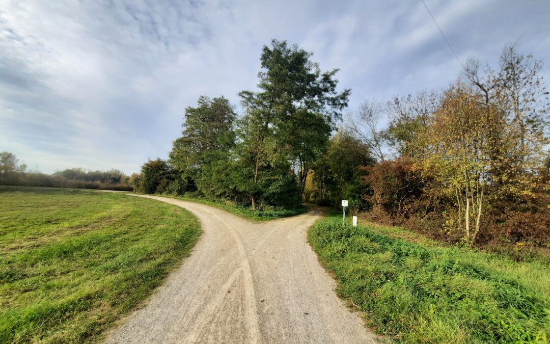 Trauer-Spaziergang am 30.1.2026